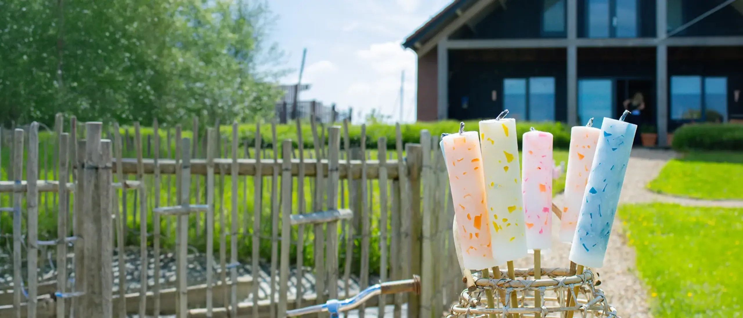 Tuinfakkels van Noorderlichtjes