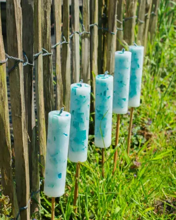 Blauwe tuinfakkels