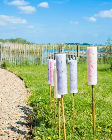 Roze Tuinfakkels